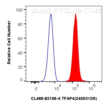 Flow cytometry (FC) experiment of HeLa cells using CoraLite® Plus 488-conjugated TFAP4 Recombinant an (CL488-83196-4)