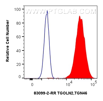 Flow cytometry (FC) experiment of HepG2 cells using TGOLN2,TGN46 Recombinant antibody (83099-2-RR)