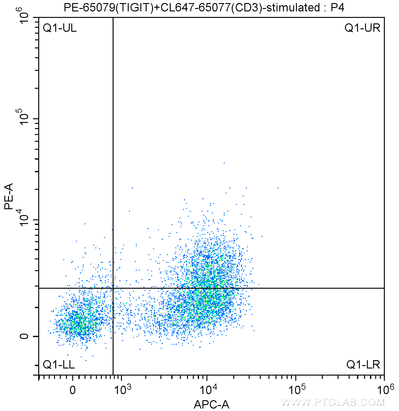 Flow cytometry (FC) experiment of BALB/c mouse splenocytes using PE Anti-Mouse TIGIT (1G9) (PE-65079)