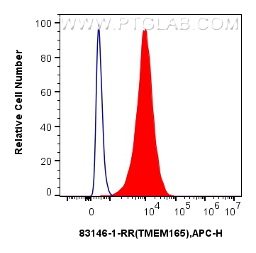 Flow cytometry (FC) experiment of HepG2 cells using TMEM165 Recombinant antibody (83146-1-RR)