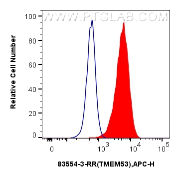 Flow cytometry (FC) experiment of A549 cells using TMEM53 Recombinant antibody (83554-3-RR)
