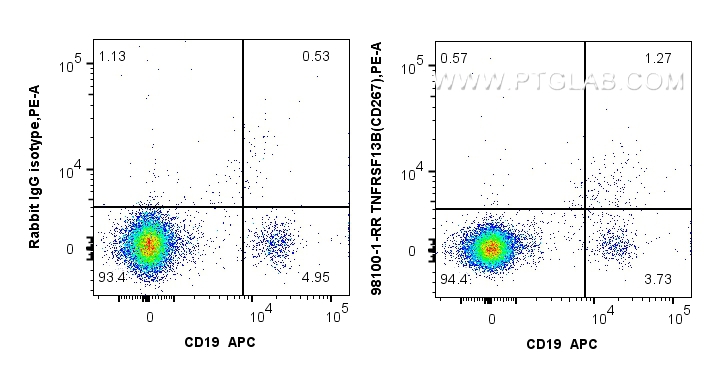 Flow cytometry (FC) experiment of human PBMCs using Anti-Human TNFRSF13B/CD267 Rabbit Recombinant Anti (98100-1-RR)