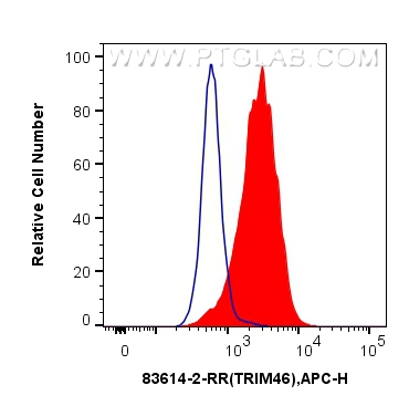 Flow cytometry (FC) experiment of HeLa cells using TRIM46 Recombinant antibody (83614-2-RR)