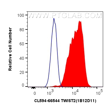 Flow cytometry (FC) experiment of HeLa cells using CoraLite®594-conjugated TWIST2 Monoclonal antibody (CL594-66544)
