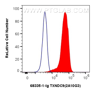 Flow cytometry (FC) experiment of HEK-293 cells using TXNDC9 Monoclonal antibody (68335-1-Ig)