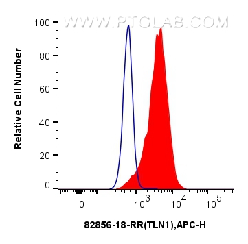 Flow cytometry (FC) experiment of HeLa cells using Talin-1 Recombinant antibody (82856-18-RR)