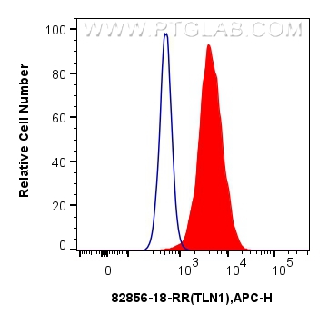 Flow cytometry (FC) experiment of A549 cells using Talin-1 Recombinant antibody (82856-18-RR)