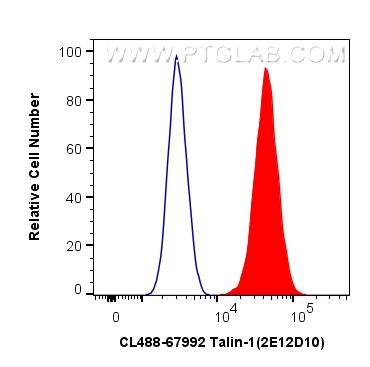 Flow cytometry (FC) experiment of HeLa cells using CoraLite® Plus 488-conjugated Talin-1 Monoclonal a (CL488-67992)