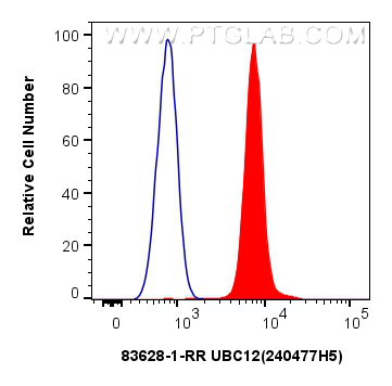 Flow cytometry (FC) experiment of HEK-293 cells using UBC12 Recombinant antibody (83628-1-RR)