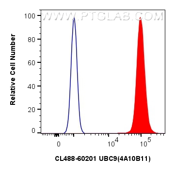 Flow cytometry (FC) experiment of Jurkat cells using CoraLite® Plus 488-conjugated UBC9 Monoclonal anti (CL488-60201)