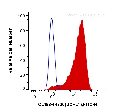 Flow cytometry (FC) experiment of Y79 cells using CoraLite® Plus 488-conjugated UCHL1/PGP9.5 Polyclo (CL488-14730)