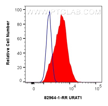 Flow cytometry (FC) experiment of HepG2 cells using URAT1 Recombinant antibody (82964-1-RR)