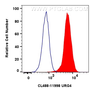 Flow cytometry (FC) experiment of HEK-293 cells using CoraLite® Plus 488-conjugated URG4 Polyclonal anti (CL488-11998)