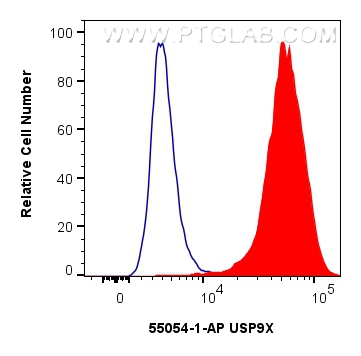 Flow cytometry (FC) experiment of HeLa cells using USP9X Polyclonal antibody (55054-1-AP)