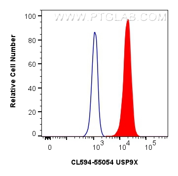 Flow cytometry (FC) experiment of HeLa cells using CoraLite®594-conjugated USP9X Polyclonal antibody (CL594-55054)