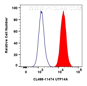 Flow cytometry (FC) experiment of HepG2 cells using CoraLite® Plus 488-conjugated UTP14A Polyclonal an (CL488-11474)