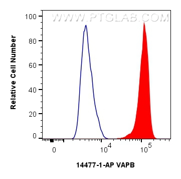 Flow cytometry (FC) experiment of HepG2 cells using VAPB Polyclonal antibody (14477-1-AP)