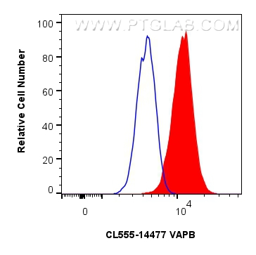 Flow cytometry (FC) experiment of HepG2 cells using CoraLite® Plus 555-conjugated VAPB Polyclonal anti (CL555-14477)