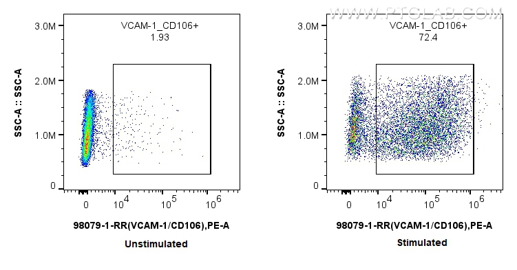 Flow cytometry (FC) experiment of HUVEC cells using Anti-Human VCAM-1/CD106 Rabbit Recombinant Antibod (98079-1-RR)