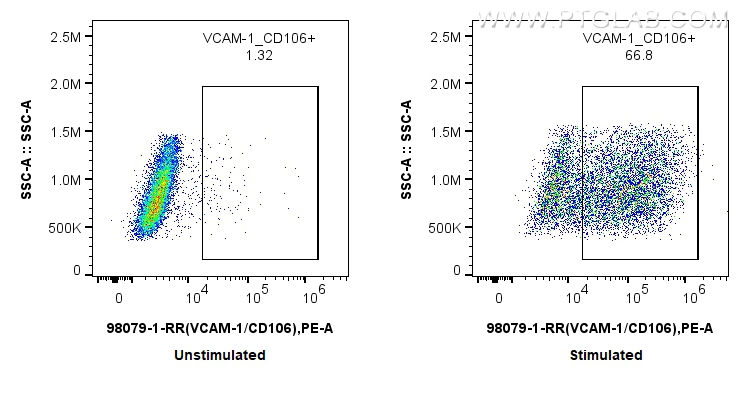 VCAM-1/CD106