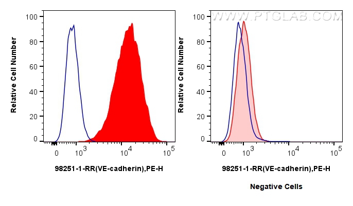 Flow cytometry (FC) experiment of bEnd.3 cells using Anti-Mouse VE-cadherin/CD144 Rabbit Recombinant An (98251-1-RR)