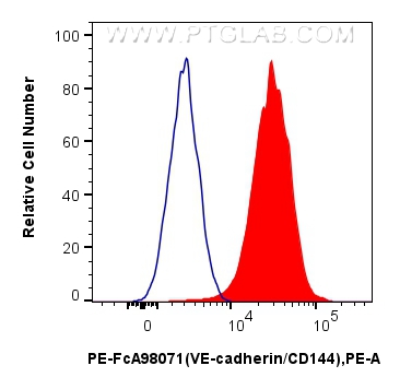 Flow cytometry (FC) experiment of HUVEC cells using FcZero-rAb™ PE Anti-Human VE-cadherin/CD144 Rabbit (PE-FcA98071)