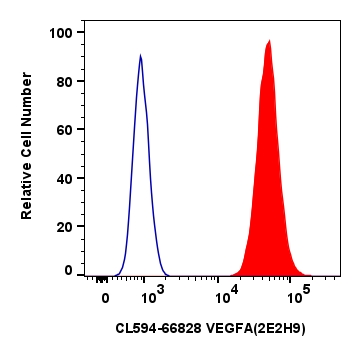 Flow cytometry (FC) experiment of MCF-7 cells using CoraLite®594-conjugated VEGFA Monoclonal antibody (CL594-66828)