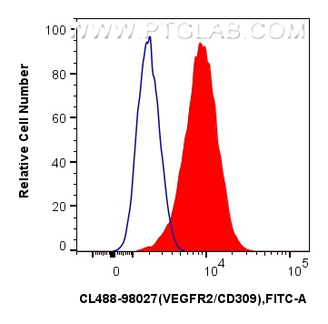 Flow cytometry (FC) experiment of bEnd.3 cells using CoraLite® Plus 488 Anti-Mouse VEGFR2/CD309 Rabbit  (CL488-98027)