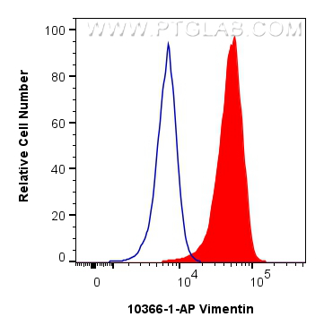 Flow cytometry (FC) experiment of mMSCs cells using Vimentin Polyclonal antibody (10366-1-AP)