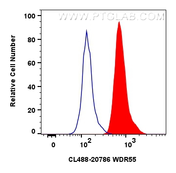 Flow cytometry (FC) experiment of HepG2 cells using CoraLite® Plus 488-conjugated WDR55 Polyclonal ant (CL488-20786)