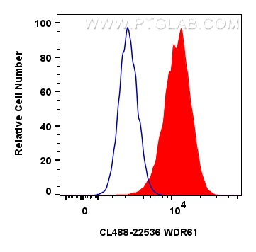 Flow cytometry (FC) experiment of HeLa cells using CoraLite® Plus 488-conjugated WDR61 Polyclonal ant (CL488-22536)