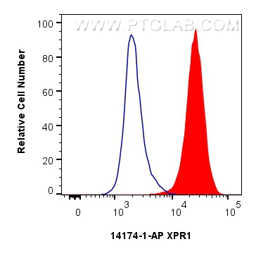 Flow cytometry (FC) experiment of Jurkat cells using XPR1 Polyclonal antibody (14174-1-AP)