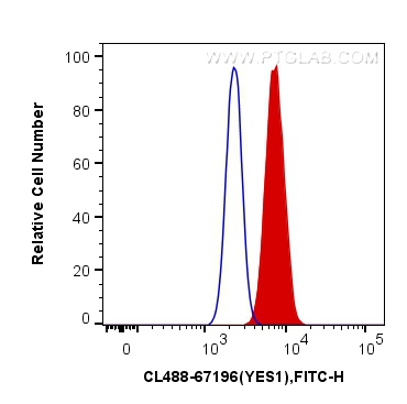 Flow cytometry (FC) experiment of HepG2 cells using CoraLite® Plus 488-conjugated YES1 Monoclonal anti (CL488-67196)