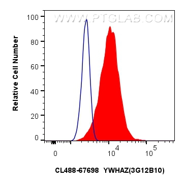 Flow cytometry (FC) experiment of MCF-7 cells using CoraLite® Plus 488-conjugated YWHAZ Monoclonal ant (CL488-67698)