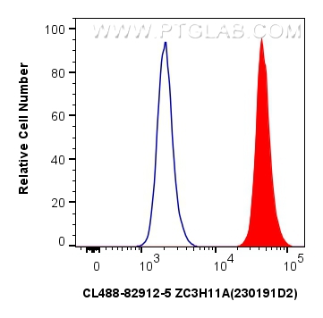 Flow cytometry (FC) experiment of HepG2 cells using CoraLite® Plus 488-conjugated ZC3H11A Recombinant  (CL488-82912-5)