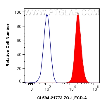 Flow cytometry (FC) experiment of MCF-7 cells using CoraLite®594-conjugated ZO-1 Polyclonal antibody (CL594-21773)