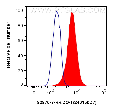 Flow cytometry (FC) experiment of MCF-7 cells using ZO-1 Recombinant antibody (82870-7-RR)