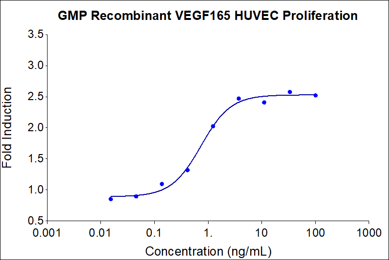 GMP Recombinant human VEGF165 (HZ-1038-GMP) induces dose-dependent proliferation of the HUVEC (human umbilical vein endothelial) cell line. Cell number was quantitatively assessed by PrestoBlue® cell viability reagent. HUVEC cells were treated with increasing concentrations of GMP recombinant VEGF165 for 96 hours. The EC50 was determined using a 4-parameter non-linear regression model. Activity determination was conducted in triplicate on a validated bioassay. The EC50 range is 0.3-3.75 ng/mL.