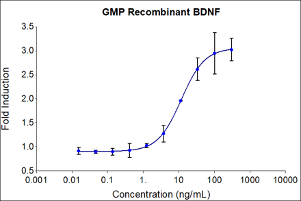  GMP BDNF (HZ-1335-GMP)  stimulates dose-dependent proliferation of the SH-SY5Y Neuroblastoma cell line. SH-SY5Y cells were treated with increasing concentrations of recombinant BDNF for 72 hours after an initial 5 day incubation with 10 μM retinoic acid. Viable cell number was quantitatively assessed by PrestoBlue® Cell Viability Reagent. The EC50 was determined using a 4-parameter non-linear regression model. The EC50 range is 4-20 ng/mL.

