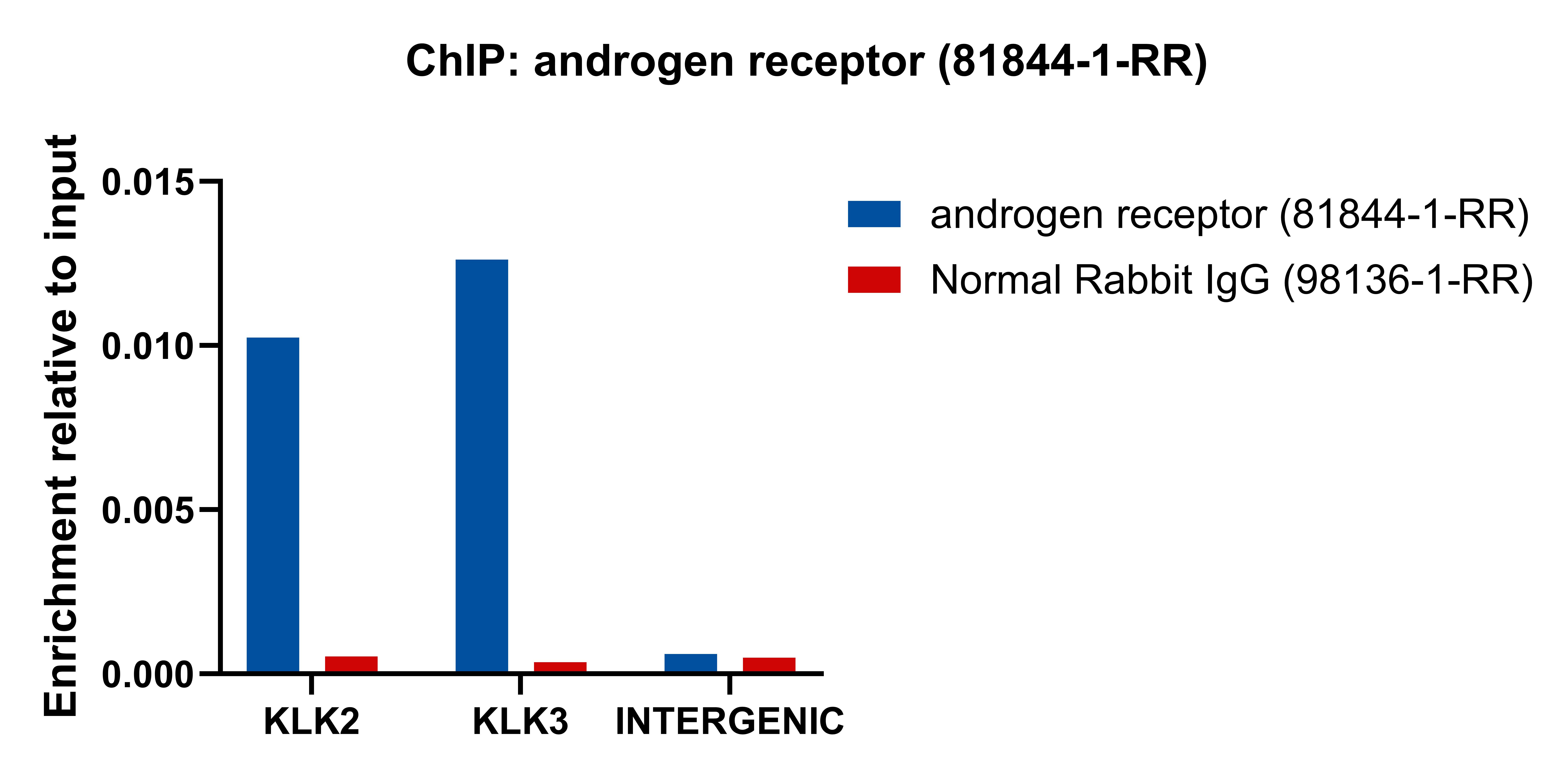 ChIP experiment of LNCaP cells using androgen receptor Recombinant monoclonal antibody (81844-1-RR)