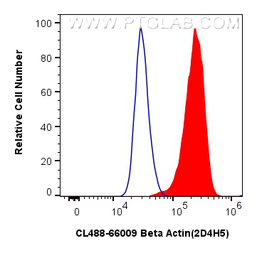 Flow cytometry (FC) experiment of HeLa cells using CoraLite® Plus 488-conjugated Beta Actin Monoclona (CL488-66009)