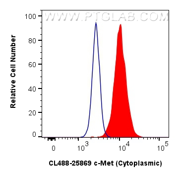Flow cytometry (FC) experiment of HeLa cells using CoraLite® Plus 488-conjugated c-Met (Cytoplasmic)  (CL488-25869)