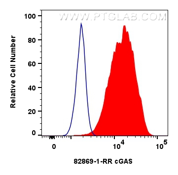 Flow cytometry (FC) experiment of A431 cells using cGAS Recombinant antibody (82869-1-RR)