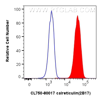 Flow cytometry (FC) experiment of K-562 cells using CoraLite® Plus 750-conjugated calreticulin Recombi (CL750-80017)