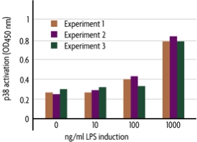 Measurement of phosphorylated p38 (T180/Y182) and total p38 using the FACE p38 Cell Based ELISA (In Cell Western) method.