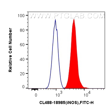 Flow cytometry (FC) experiment of HepG2 cells using CoraLite® Plus 488-conjugated iNOS Polyclonal anti (CL488-18985)