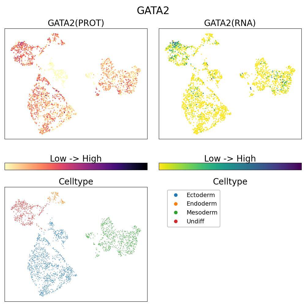 Transcription factor critical for hematopoietic differentiation and lymphatic system development. UMAP shows resting Bone Marrow Mononuclear cells and in human PBMCs stimulated with LPS for 4h