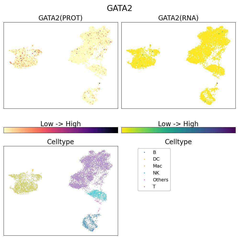 Transcription factor critical for hematopoietic differentiation and lymphatic system development. UMAP shows resting Bone Marrow Mononuclear cells and in human PBMCs stimulated with LPS for 4h