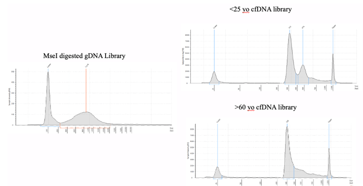 Example DNA Libraries from the Active Motif MeDIP Kit