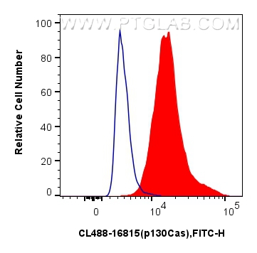 Flow cytometry (FC) experiment of A431 cells using CoraLite® Plus 488-conjugated p130Cas / BCAR1 Poly (CL488-16815)